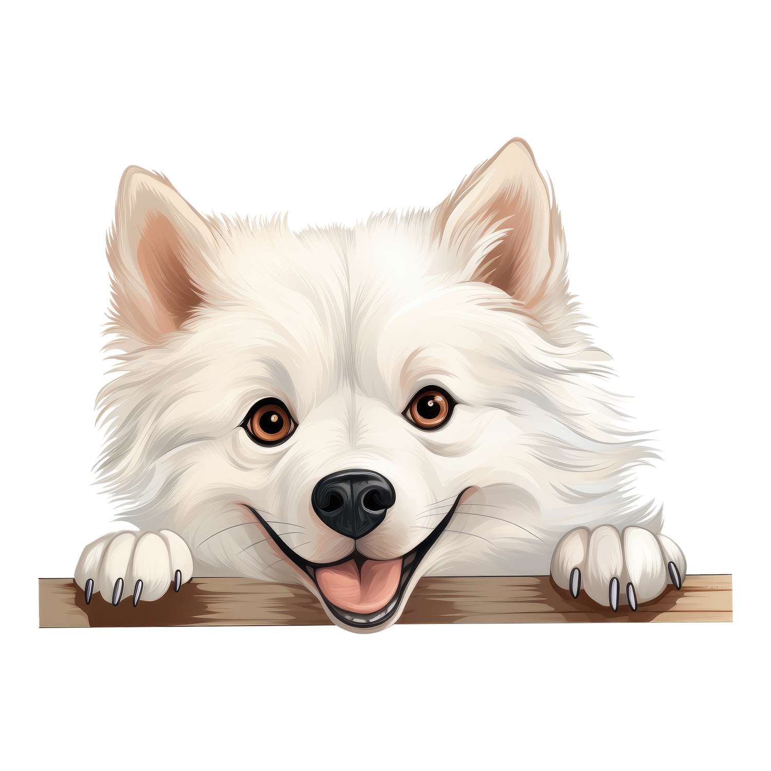 American Eskimo