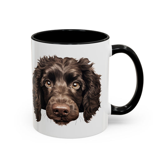 American  Water Spaniel Coffee Mug —  Portrait Accent Mug (11/15 oz)